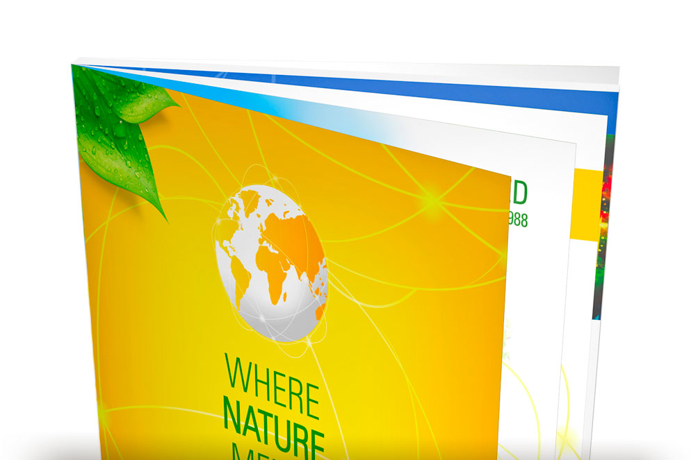 NAMED INTERNATIONAL - Catalogo generale